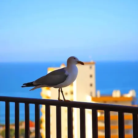 Wow Beach 2bd Flat Sea View - 300mts 2 Beach,wifi דירה